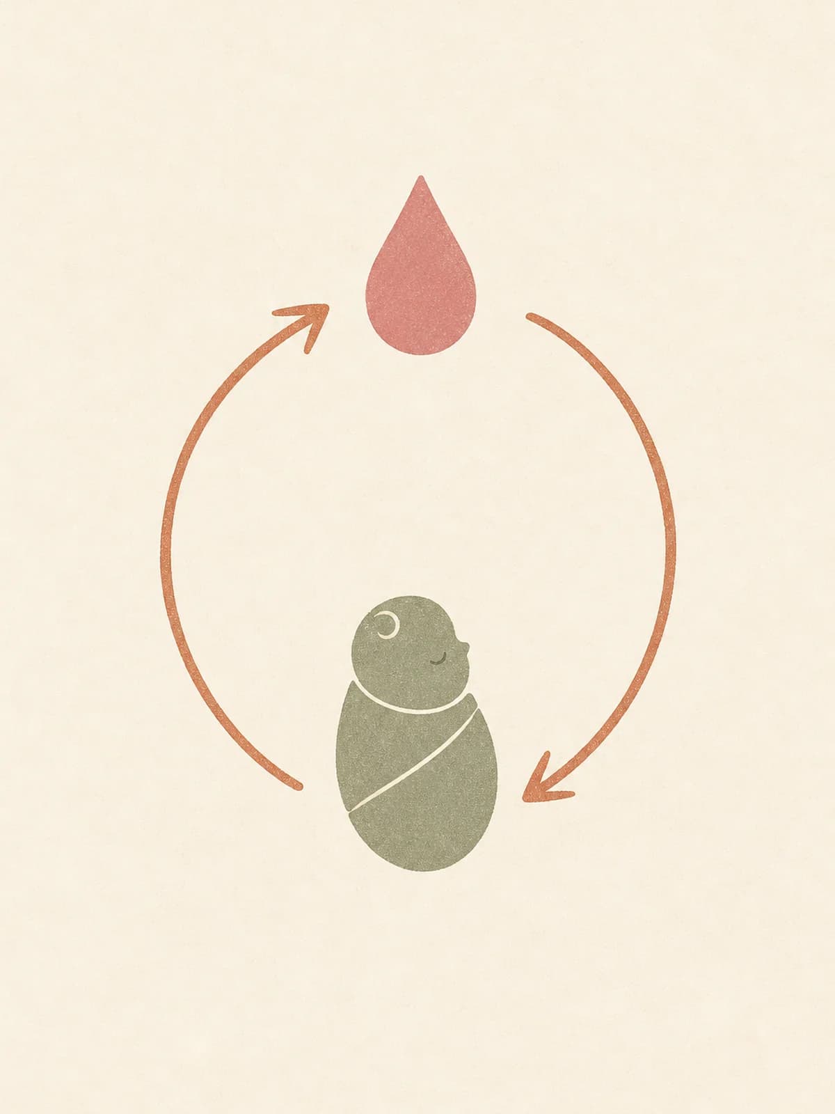 Illustration of a continuous terracotta loop running between a swaddled baby and a single milk droplet, showing that supply answers demand.
