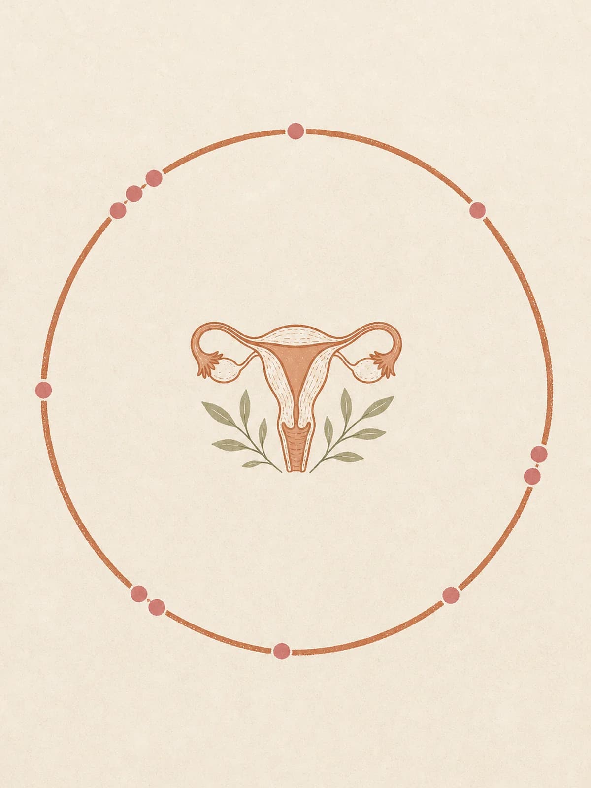 Illustration of a menstrual cycle drawn as a terracotta ring on cream, with rose markers falling at clearly uneven intervals around it and a small uterus at the centre.